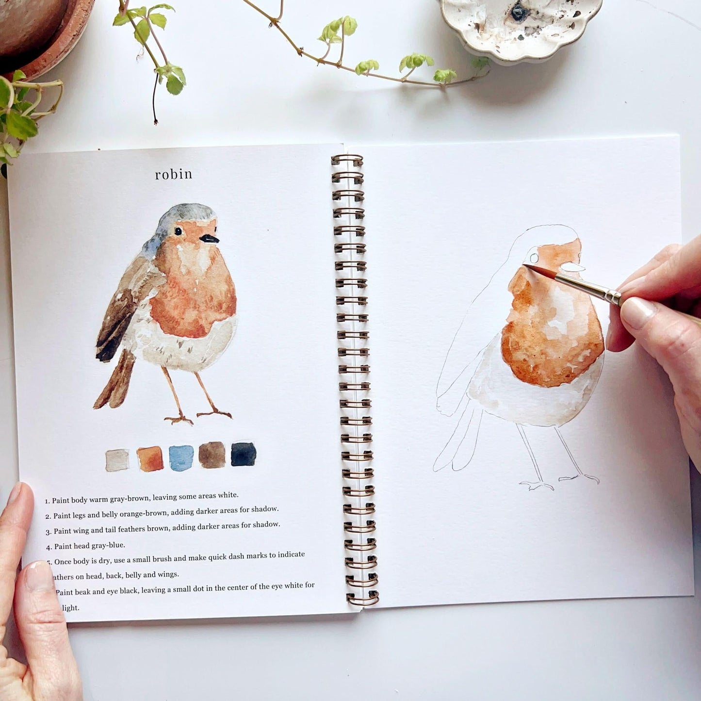 🎁Cozy Slow Watercolor Workbook Art Practice Set